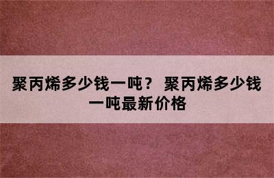 聚丙烯多少钱一吨？ 聚丙烯多少钱一吨最新价格